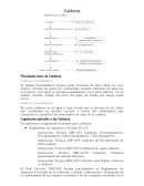 Calderas prevención de riesgos.