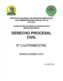 AUTO DERECHO PROCESAL CIVIL SEXTO CUATRIMESTRE. Página 1