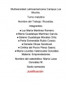 Multiversidad Latinoamericana Campus Los Mochis.