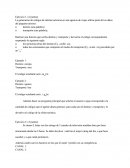 La generación de códigos de ofertas turísticas en una agencia de viajes utiliza parte de los datos del paquete turístico.