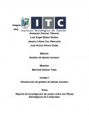 Reporte de investigación de campo sobre los Planes Estratégicos de 2 empresas.