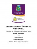 CALENTAMIENTO FISICO.