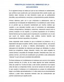 PRINCIPALES CAUSAS DEL EMBARAZO EN LA ADOLESCENCIA