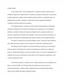 Analisis “Visión Organizacional