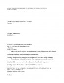 CAPACIDAD DE PRODUCCIÓN EN SISTEMAS DE FLUJO CONTINUO