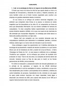 CASO INTEL - Actividad.