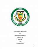 Tipos de modelo de investigacion.