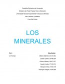 ESTABILIDAD DE LOS MINERALES EN LOS ALIMENTOS: