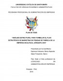 Plan estratégico Incalpaca.