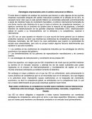 Estrategias empresariales ante el cambio estructural en México.