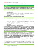 REGÍMENES DE RESPONSABILIDAD AMBIENTAL