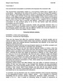 Analisis caso mercado coportamiento consumidor ingles.