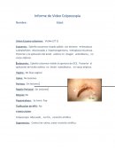 Ejemplos Informe Colposcopia.