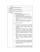 Tema: Business Model Canvas.