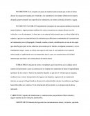 Pavimentos y Terracerias.