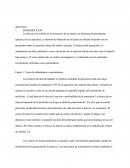 Práctica de impacto y dureza