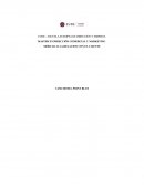 PLAN DE MARKETING RELACIONAL DEL HOTEL POINT BLUE PARA EL AÑO 2017.