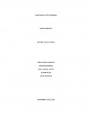 INFORME SALIDA CAMPAL