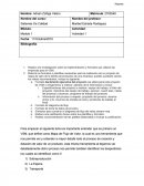 Realiza una investigación sobre la implementación y formatos que utilizan las empresas para el VSM.