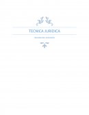 Técnica Juridica.