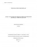 FASE III - PLANTEAMIENTO DE OBJETIVOS, MODELO DE INTERVENCIÓN PSICOSOCIAL Y ÁMBITO DE APLICACIÓN.