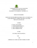 Sistema De Costo Por Ordenes De Producción Y Su Incidencia En El Control De Precios De La Elaboración De Encebollados De La Empresa Industrial “PicanteríaMiguelon”