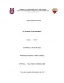 PRACTICA FINAL El arte de la no violencia.