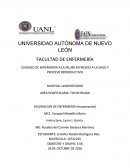 CUIDADO DE ENFERMERIA A LA MUJER EN RIESGO A LA SAUD Y PROCESO REPRODUCTIVO