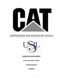 ANÁLISIS DE CATERPILLAR