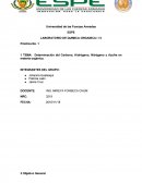 LABORATORIO DE QUIMICA ORGANICA I / II