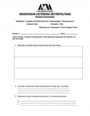 VII Módulo: Cuidado De Enfermería En La Sexualidad Y Reproducción