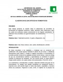 ELABORACION DE ENCURTIDOS NO FERMENTADOS.
