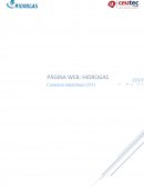 Investigacion de mercado.“HIDROGAS”