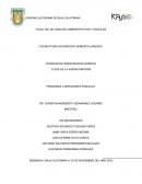 PENSIONES A SERVIDORES PUBLICOS.