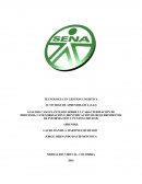 ANALISIS CASO PLANTEADO SOBRE LA CARACTERIZACIÓN DE PROCESOS, CATEGORIZACIÓN E IDENTIFICACIÓN DE REQUERIMIENTOS DE INFORMACIÓN Y PUNTOS CRITICOS