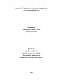 Ensayo Sobre Competencias y Experiencias Reorganizadoras