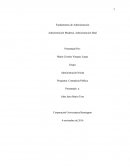 Fundamentos de Administración Administración Moderna, Administración Ideal