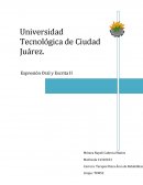 Expresión Oral y Escrita II