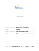 Analisis de una novela Macario