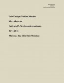 Mercadotecnia Actividad 5. Niveles socio económico