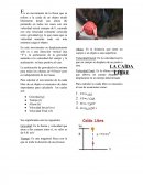 Movimiento de la Caida Libre