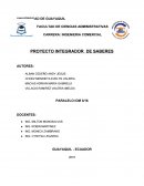 Tema- Proyecto integrador de saberes.