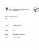 Ensayo-Producto integrador de Aprendizaje.