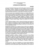 APRENDICES DE MAESTROS.
