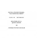 RELATORIA 5TA SESION.