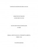 IDENTIFICACION DE LA PROBLEMÁTICA AMBIENTAL