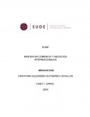 MASTER EN COMERCIO Y NEGOCIOS INTERNACIONALES.