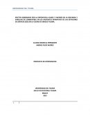 Plan de intervencion.