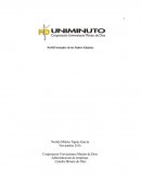 Perfil formadores eduistas.