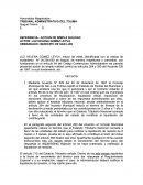 Accion de simple nulidad